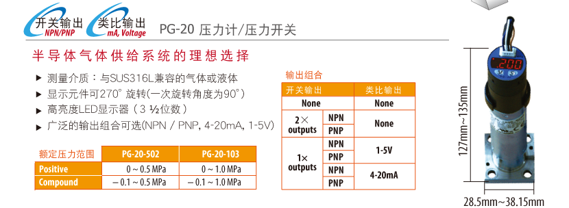 PG-20压力计/压力开关
